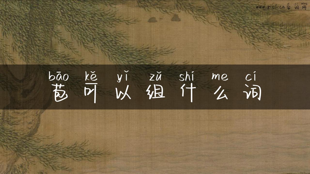 苞可以组什么词
