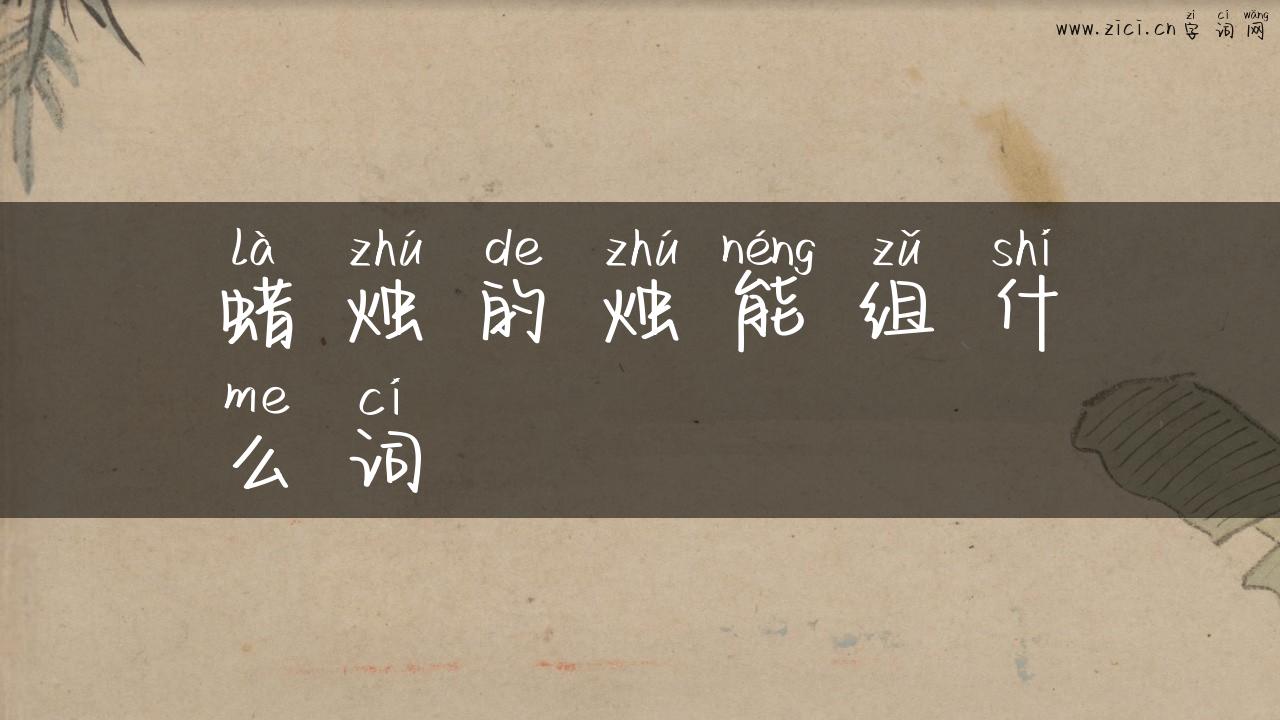 蜡烛的烛能组什么词