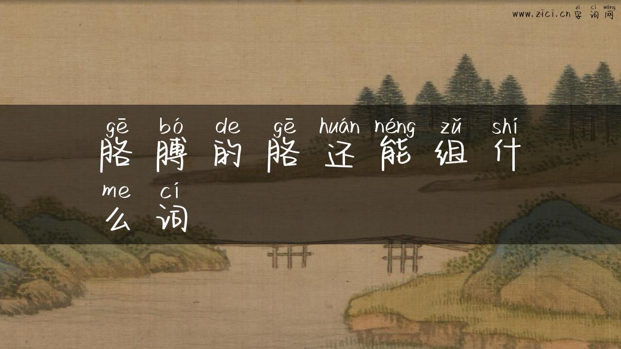 胳膊的胳还能组什么词