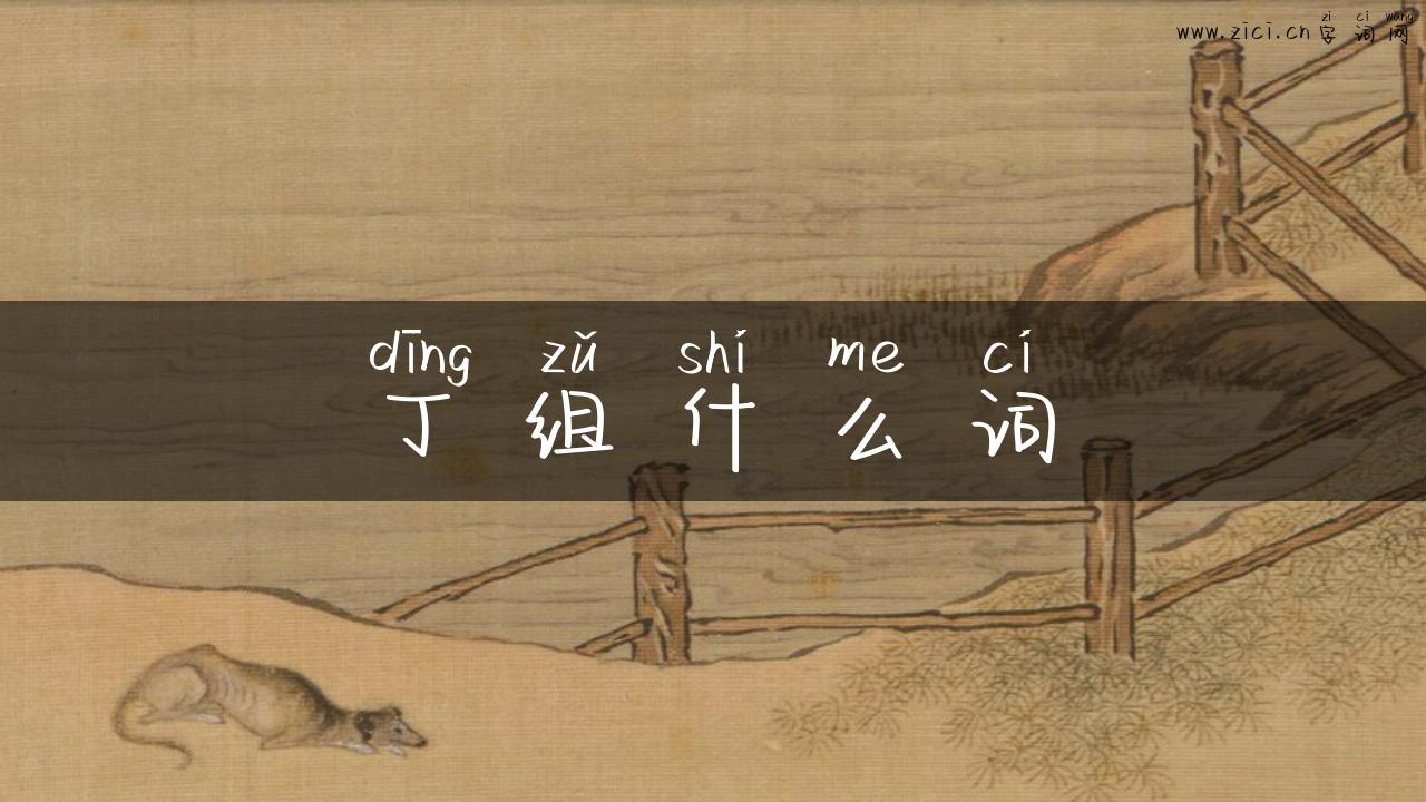 丁组什么词