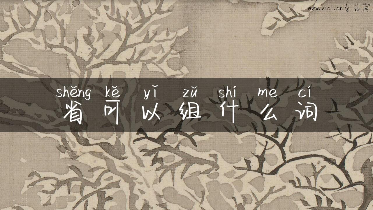 省可以组什么词