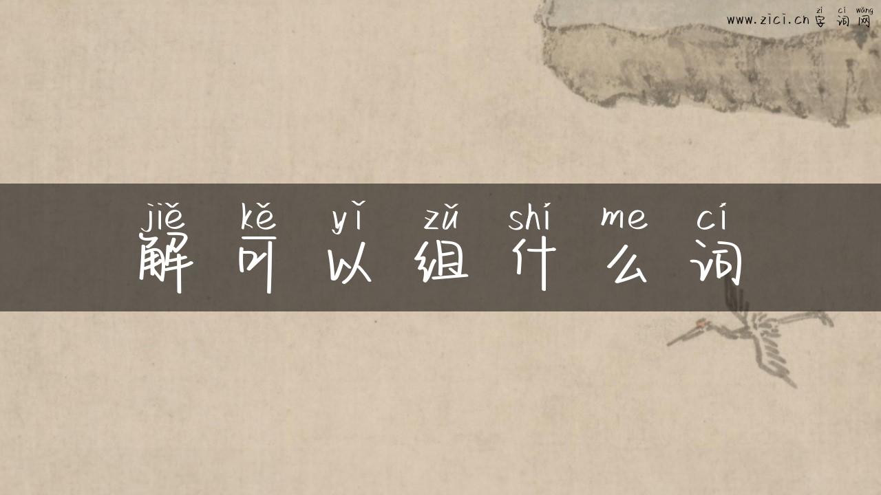 解可以组什么词