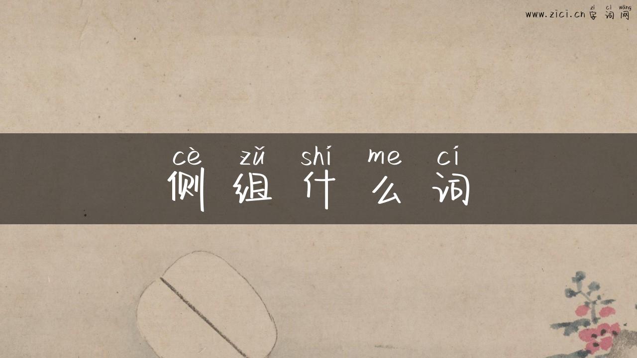 侧组什么词