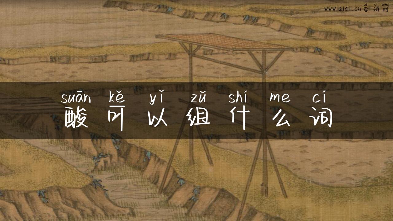 酸可以组什么词