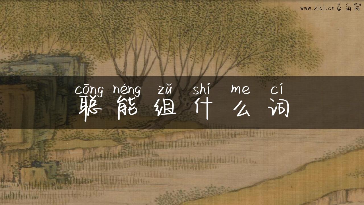 聪能组什么词