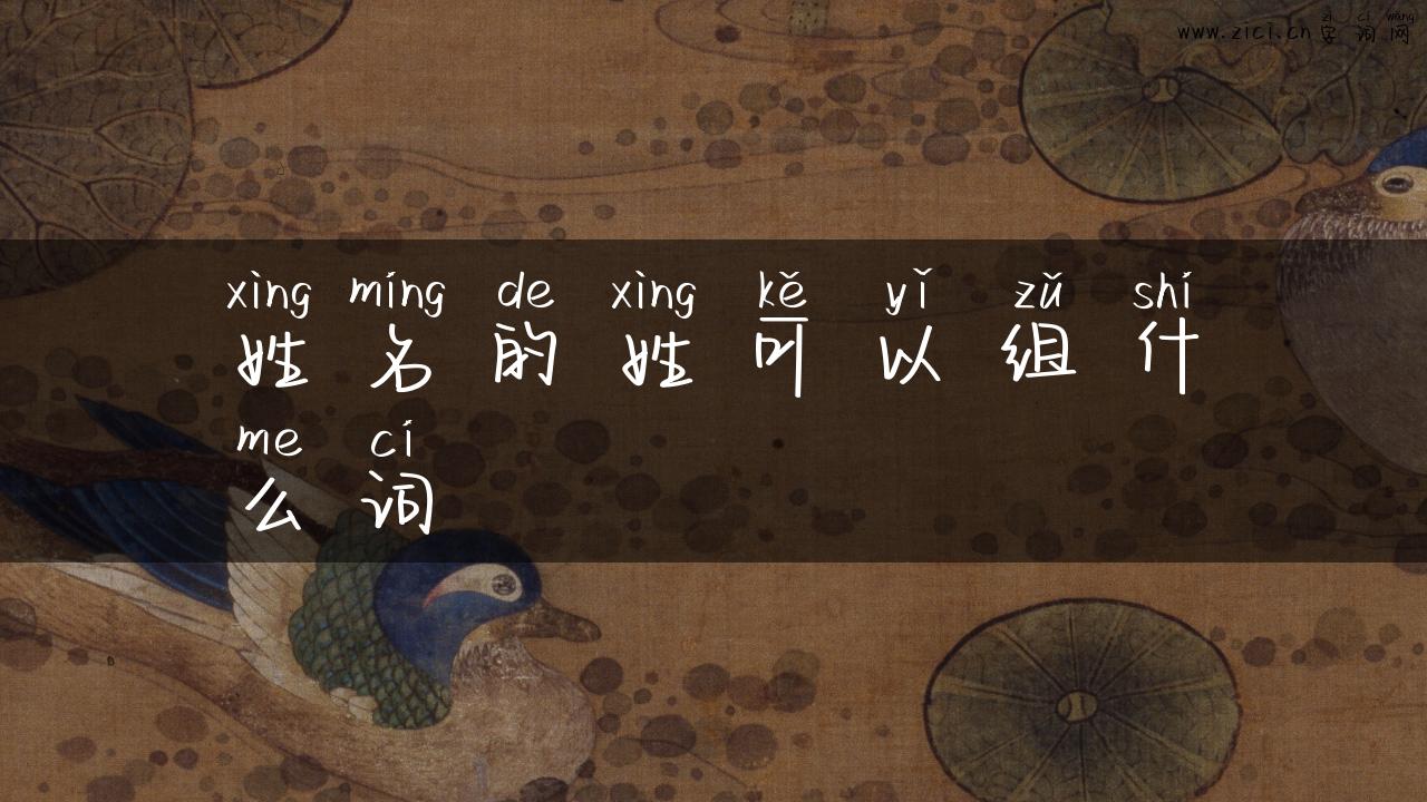 姓名的姓可以组什么词