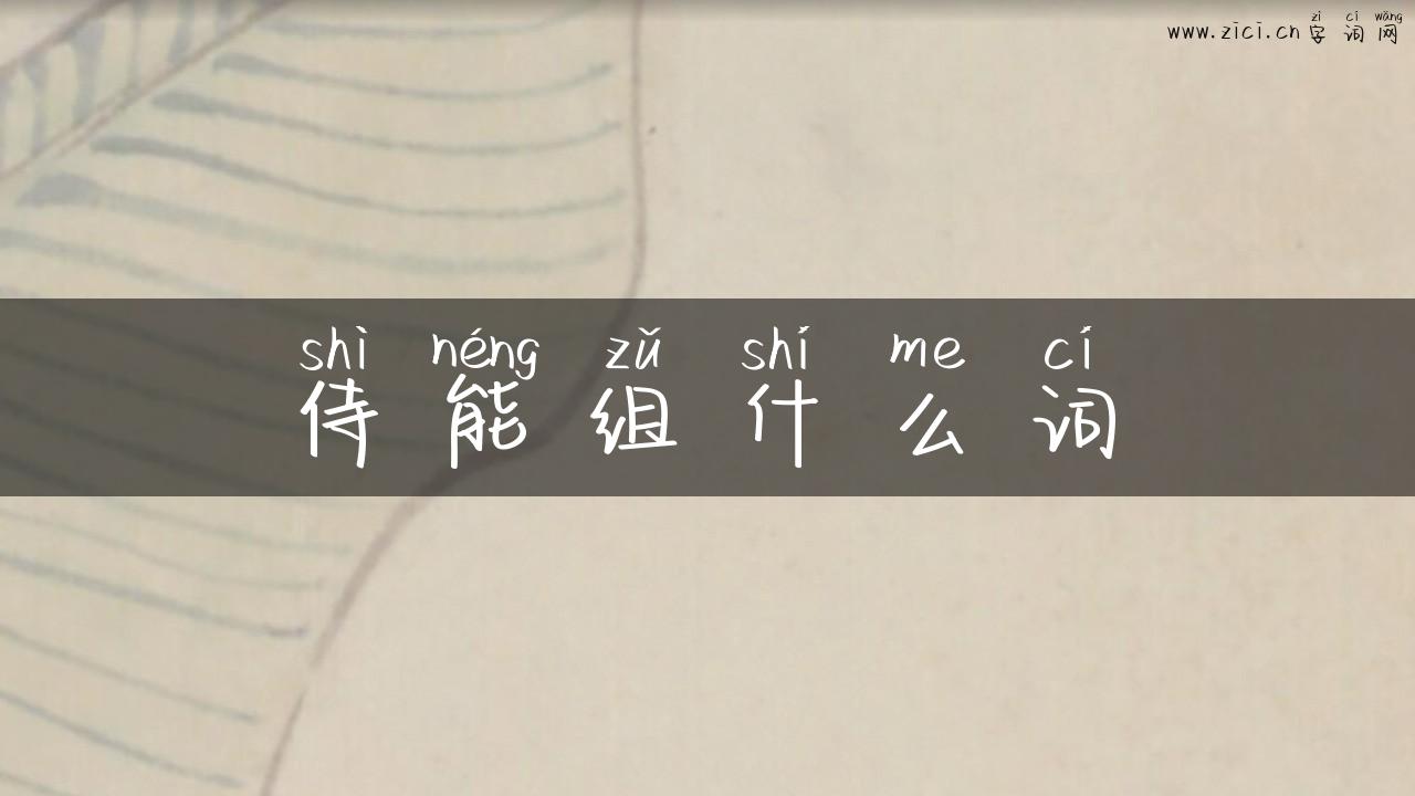 侍能组什么词