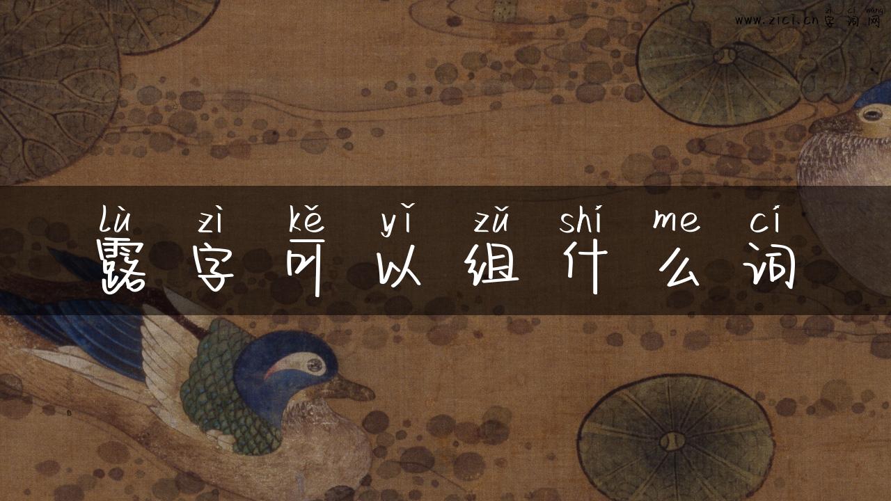 露字可以组什么词