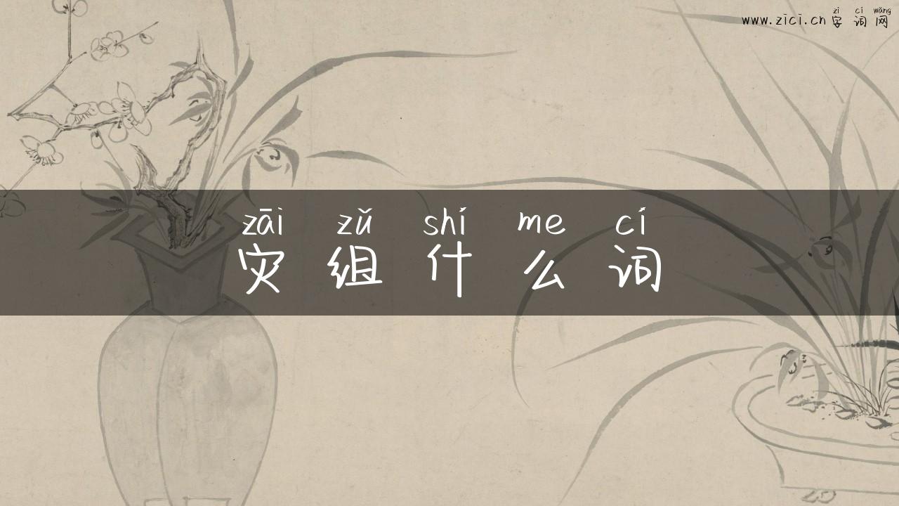 灾组什么词