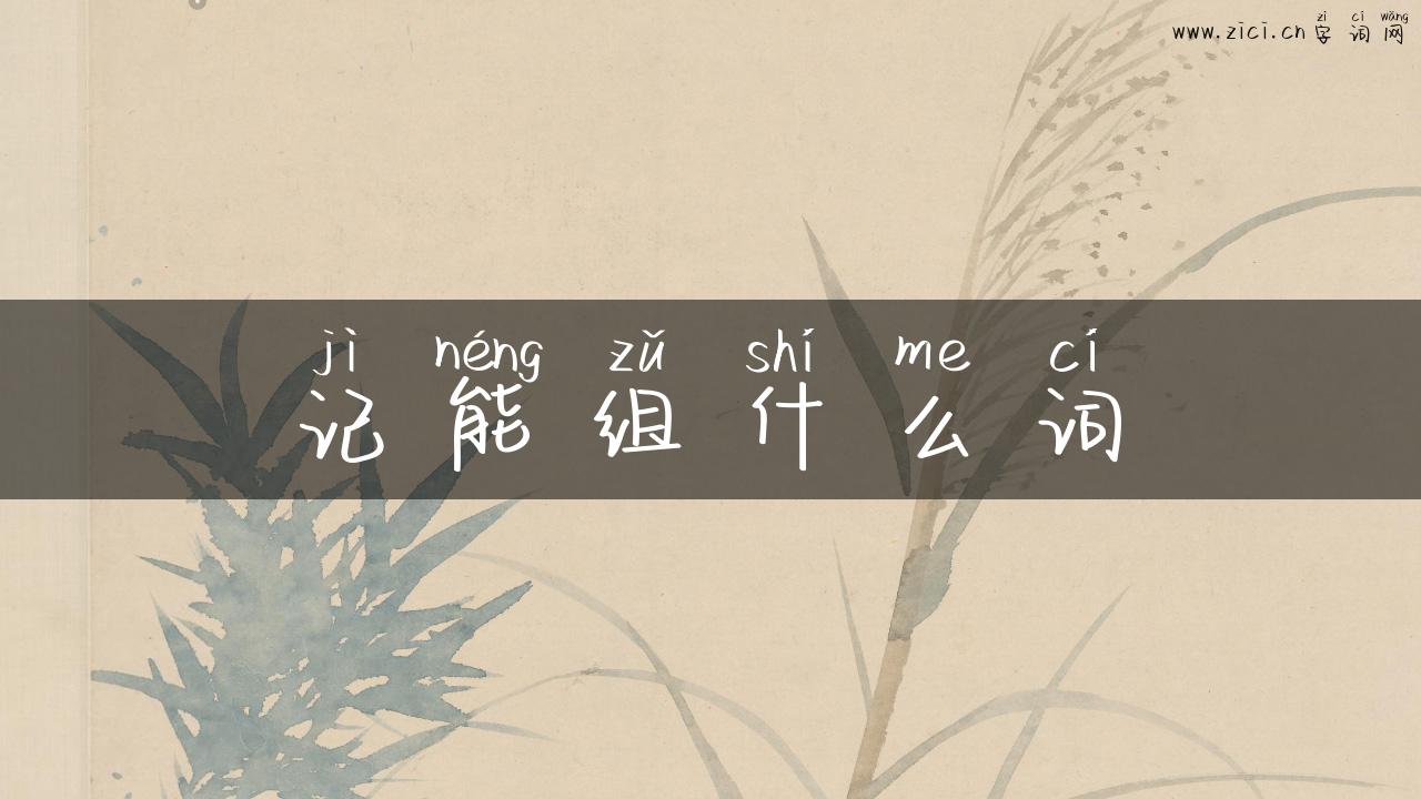 记能组什么词
