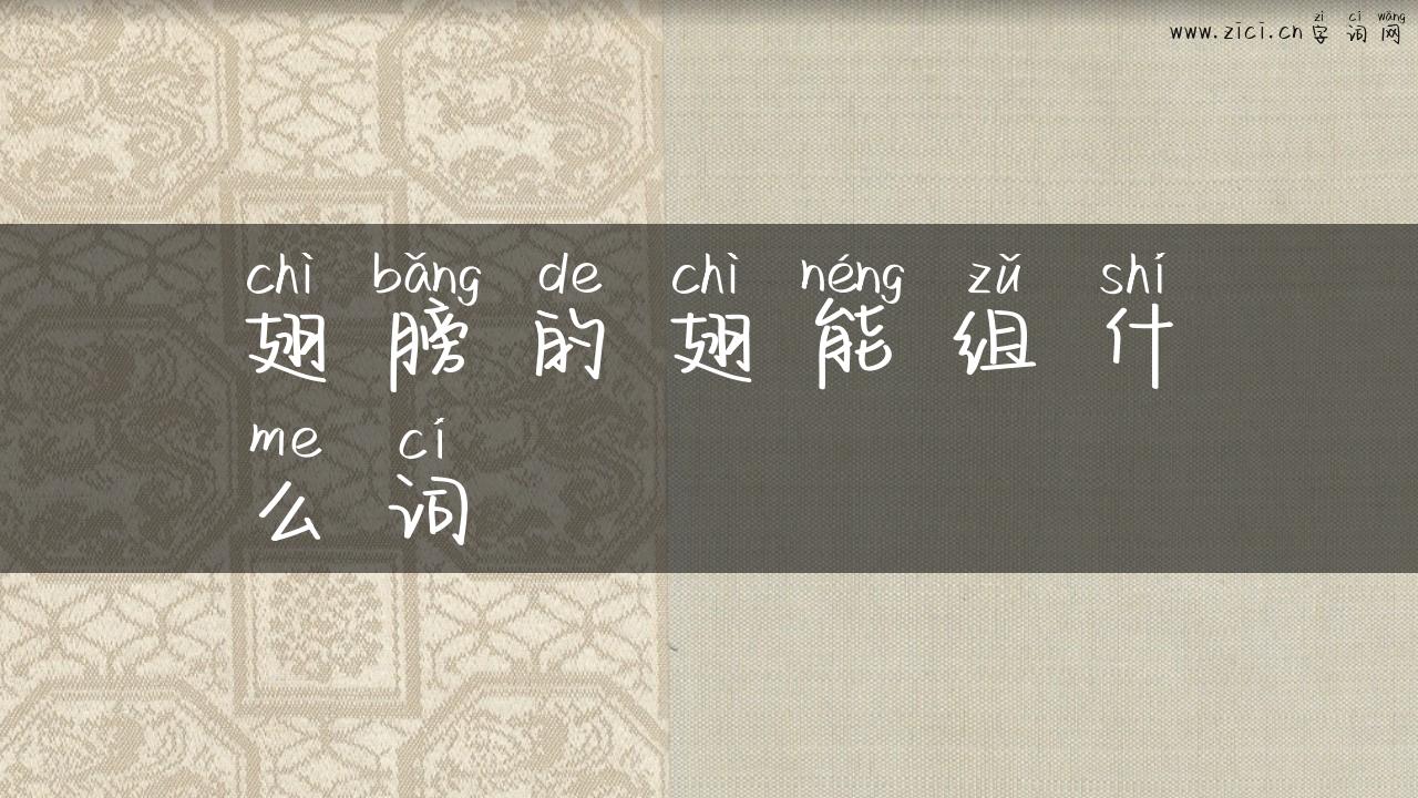 翅膀的翅能组什么词