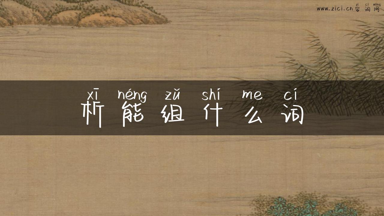 析能组什么词