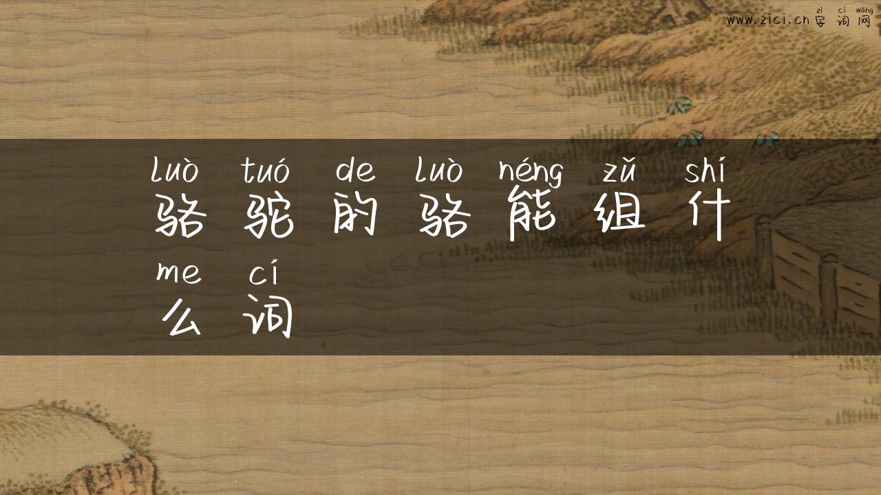骆驼的骆能组什么词