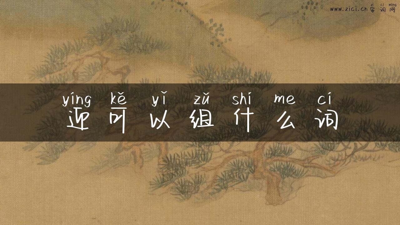 迎可以组什么词