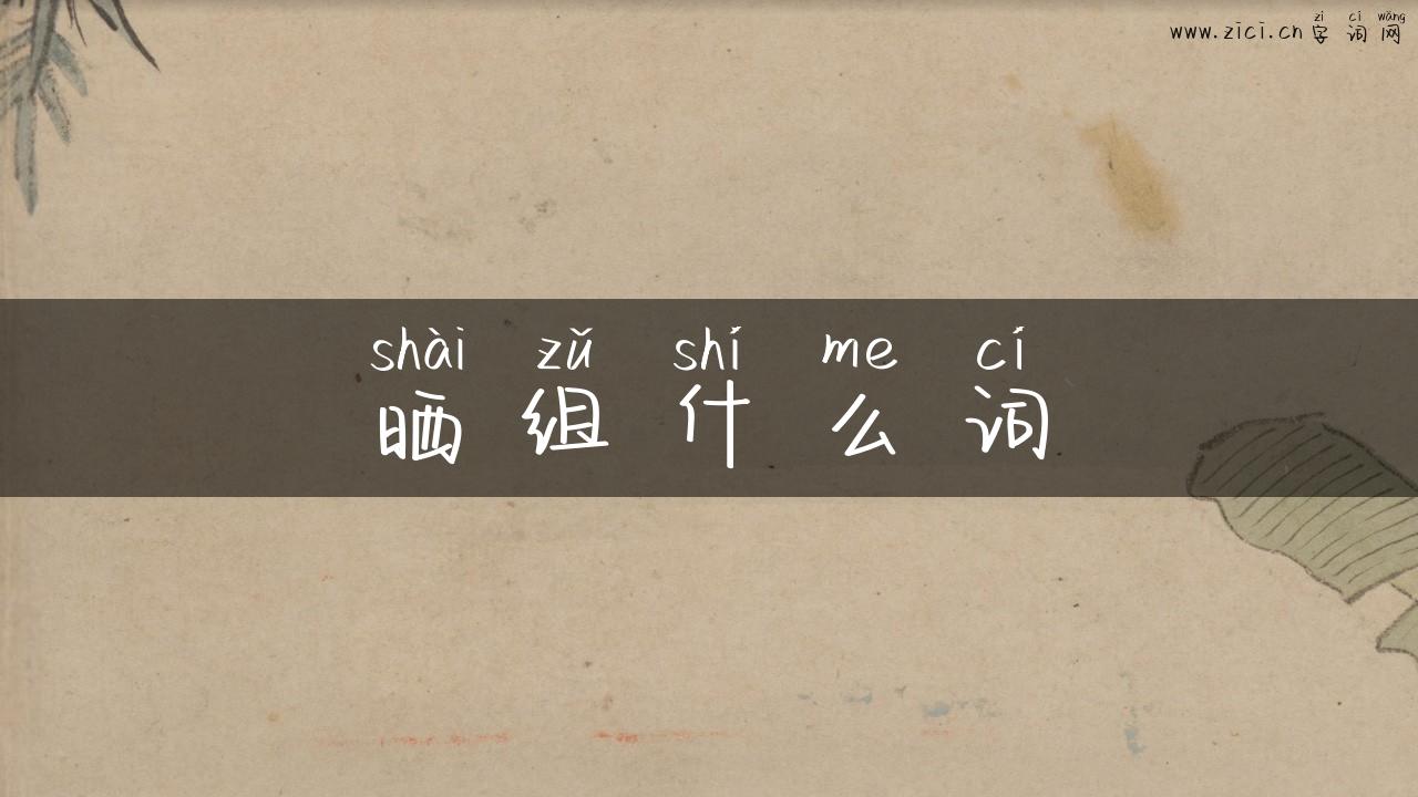 晒组什么词