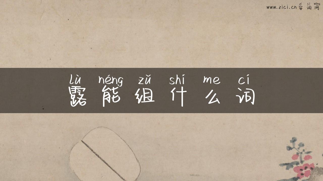 露能组什么词