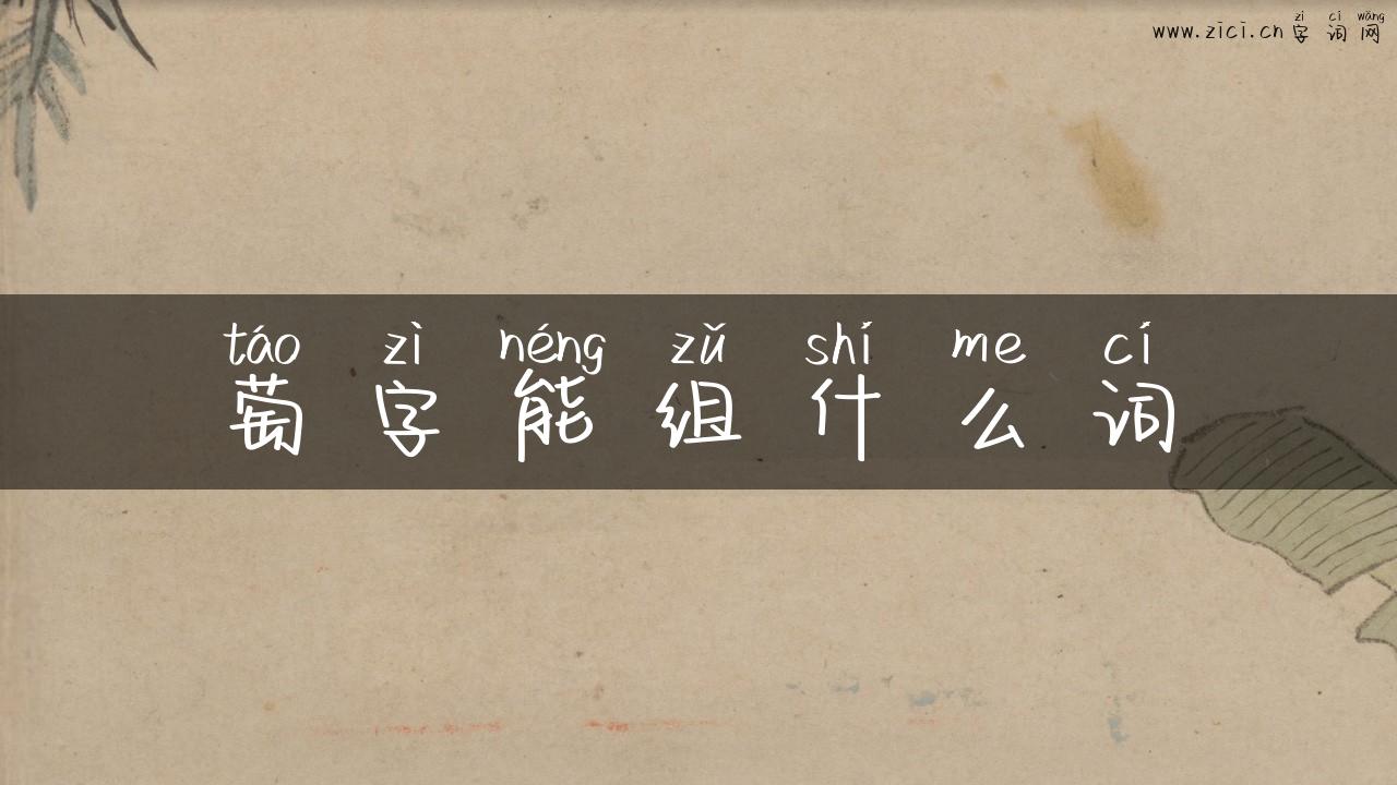 萄字能组什么词