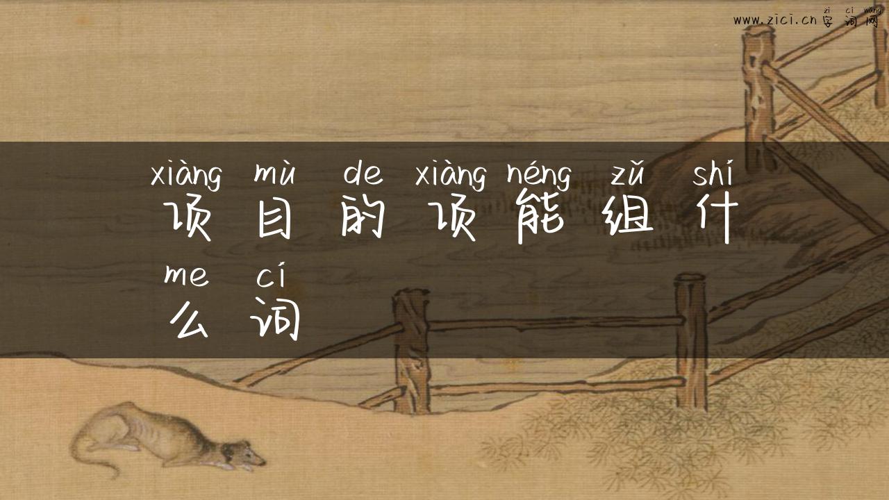 项目的项能组什么词