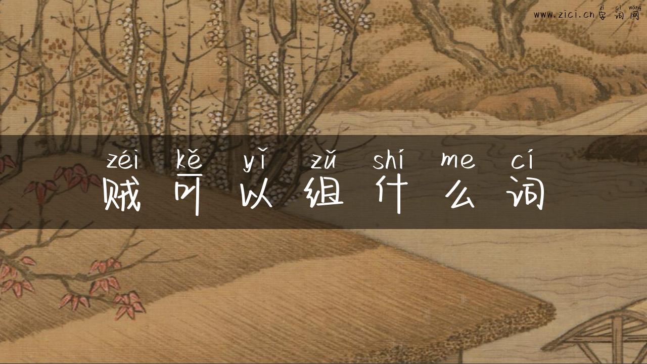 贼可以组什么词
