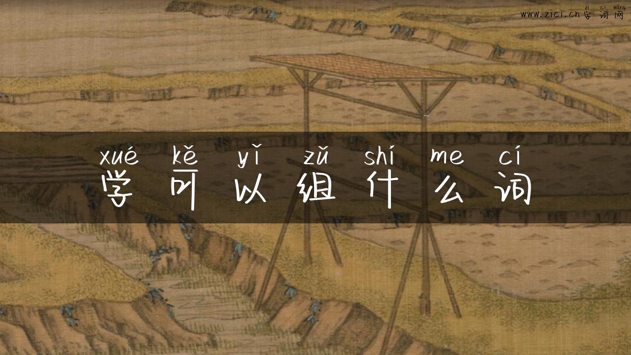 学可以组什么词