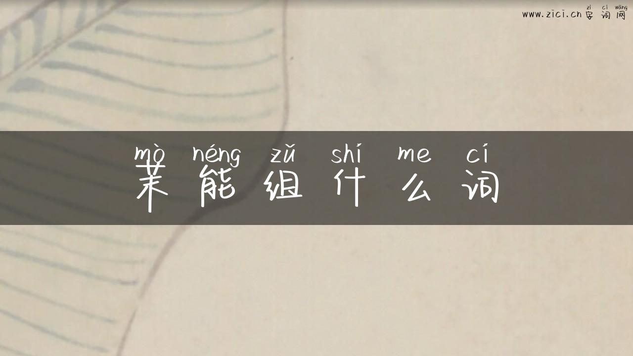 茉能组什么词