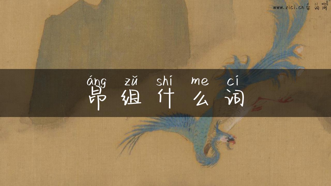 昂组什么词