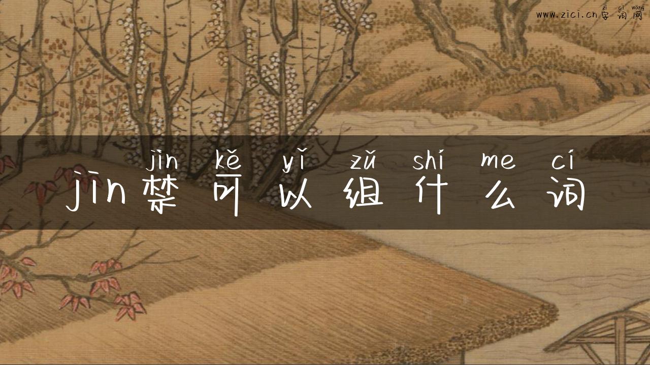 jin禁可以组什么词