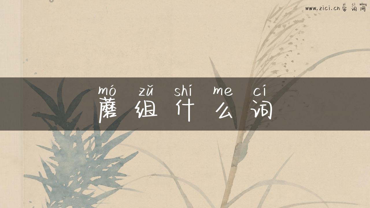 蘑组什么词