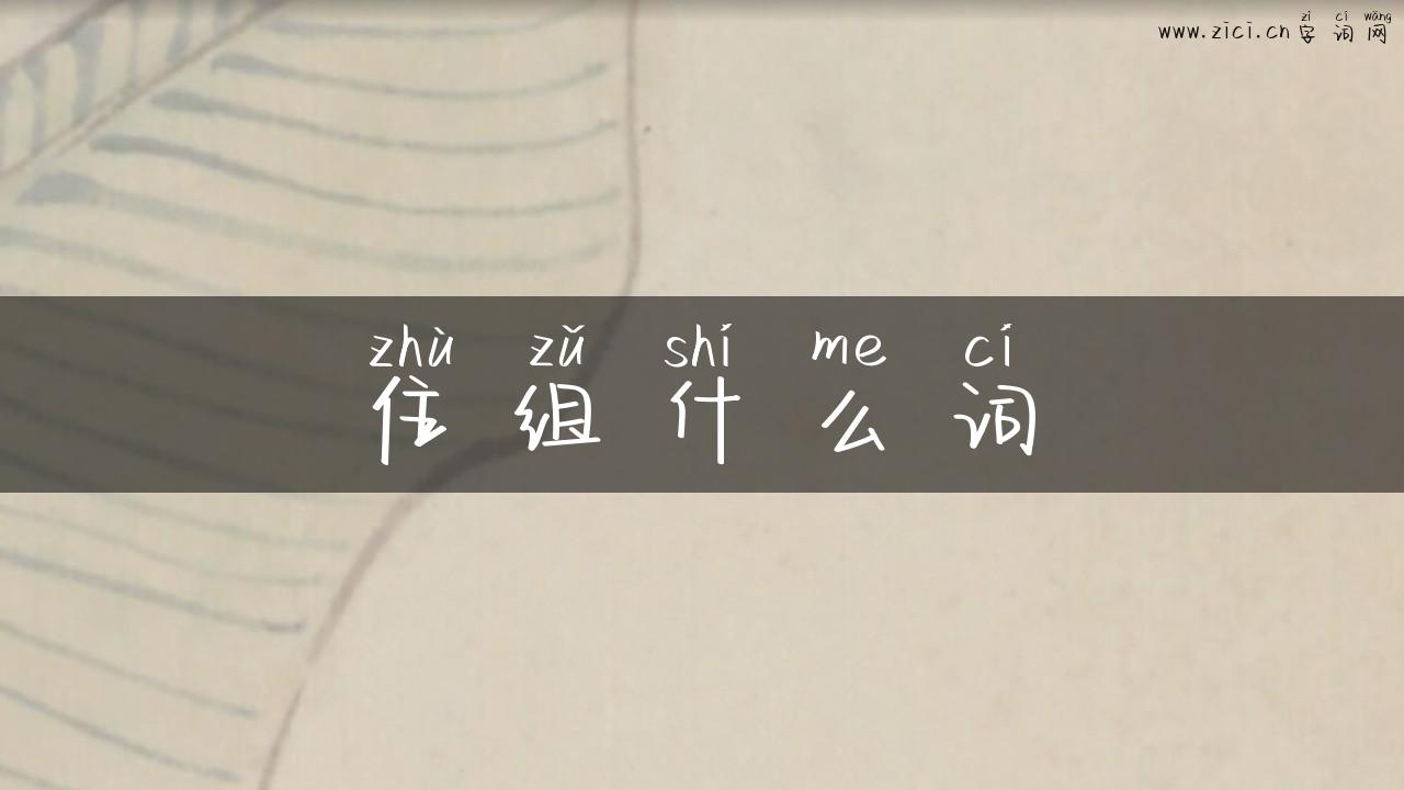 住组什么词