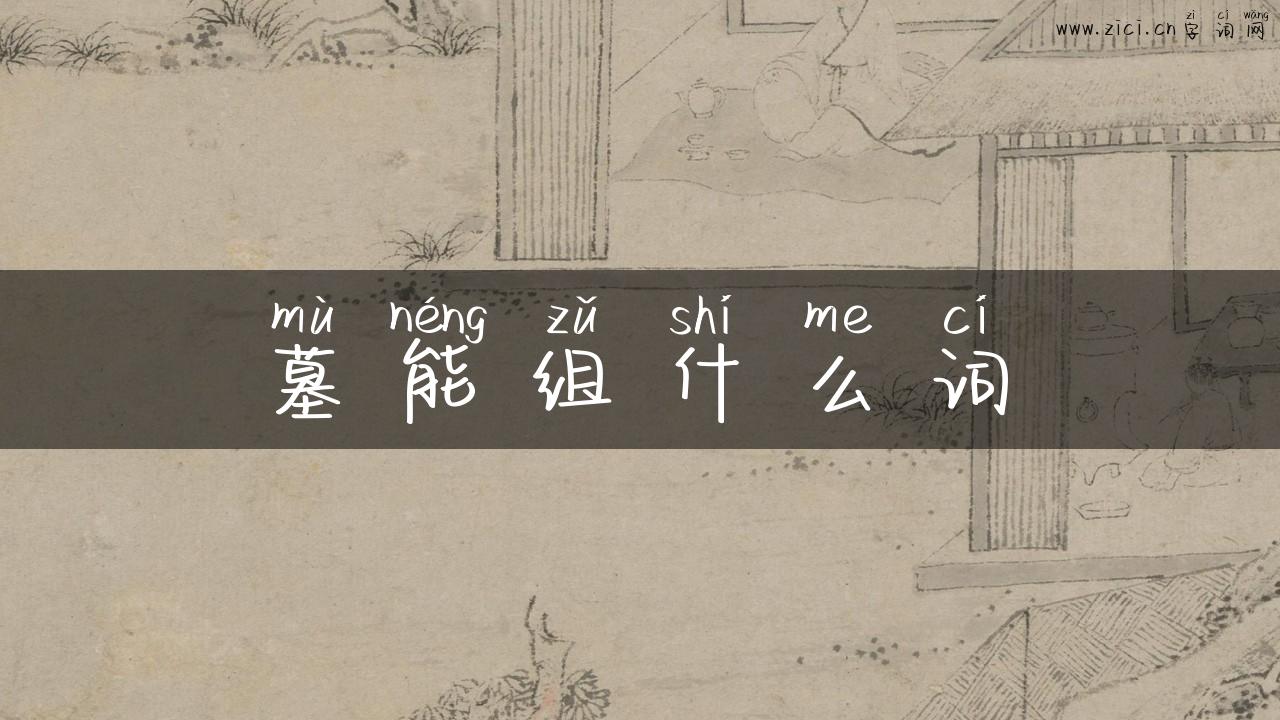墓能组什么词