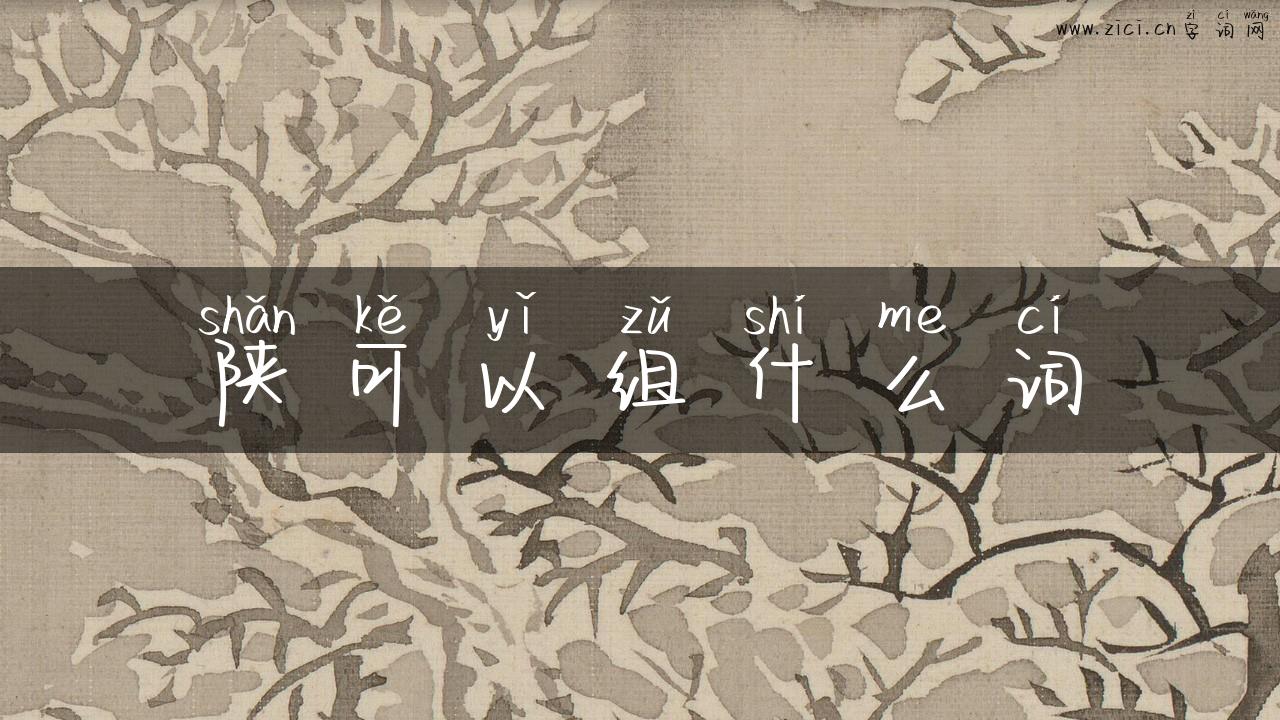 陕可以组什么词