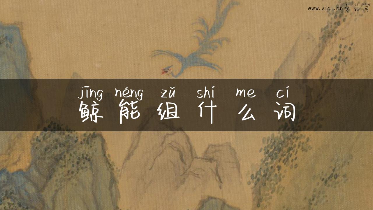 鲸能组什么词