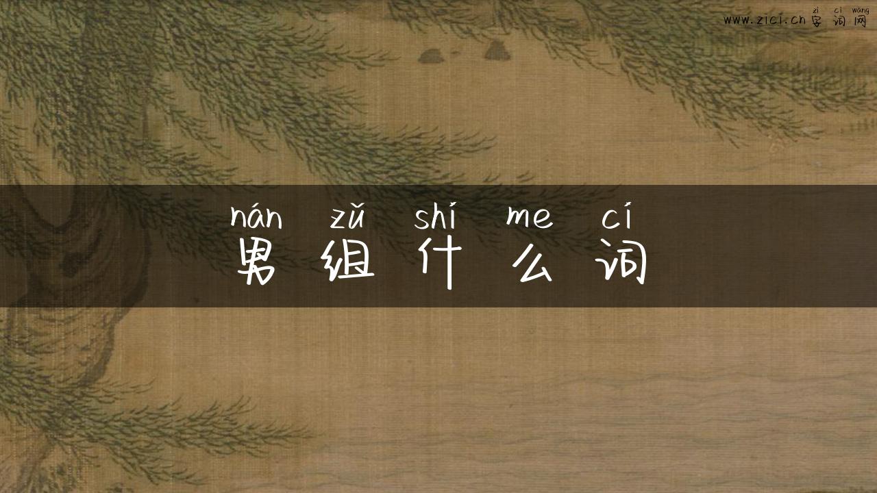 男组什么词