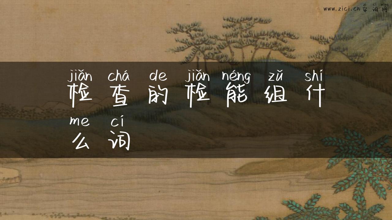 检查的检能组什么词