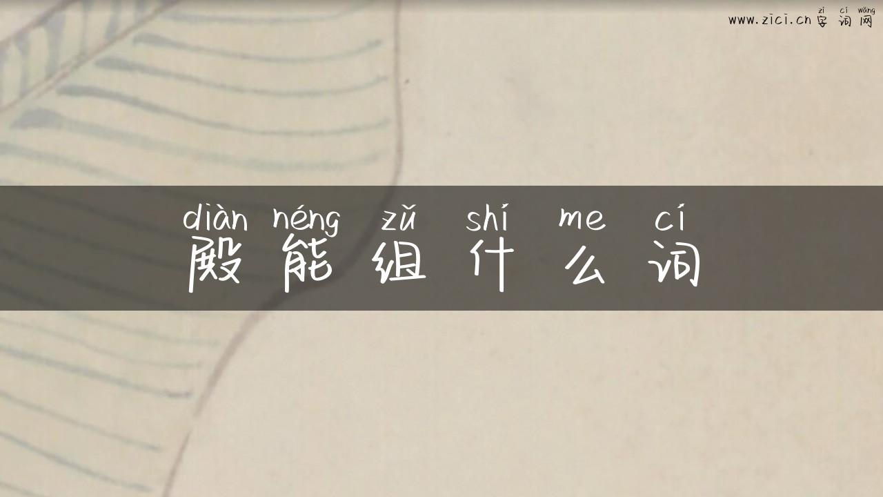 殿能组什么词