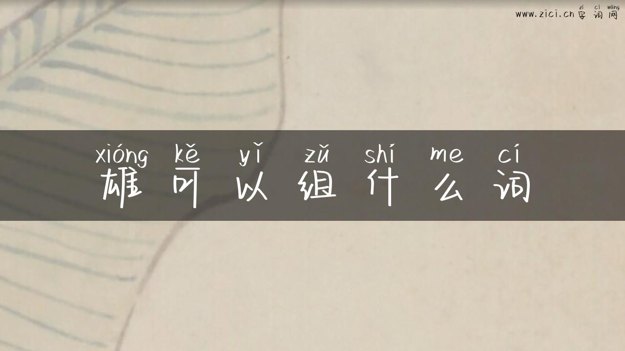 雄可以组什么词