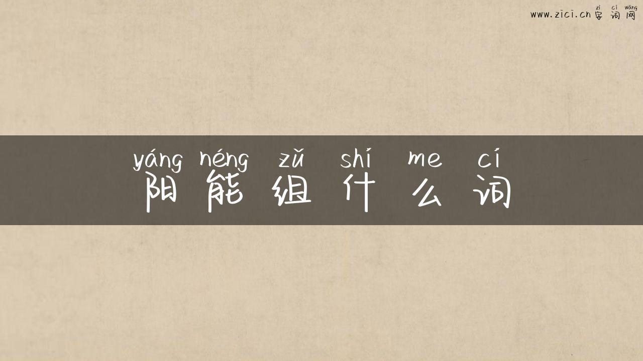 阳能组什么词