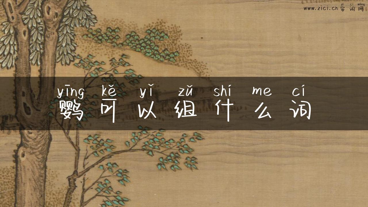 鹦可以组什么词