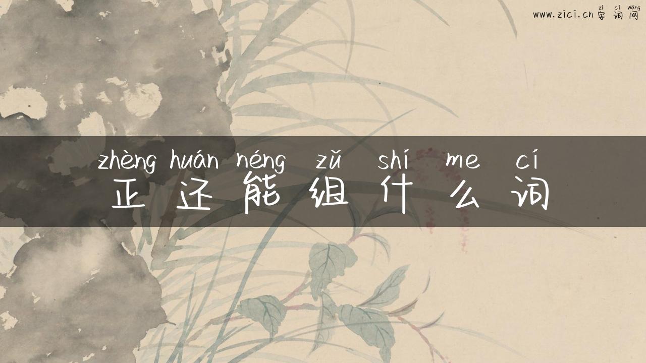 正还能组什么词