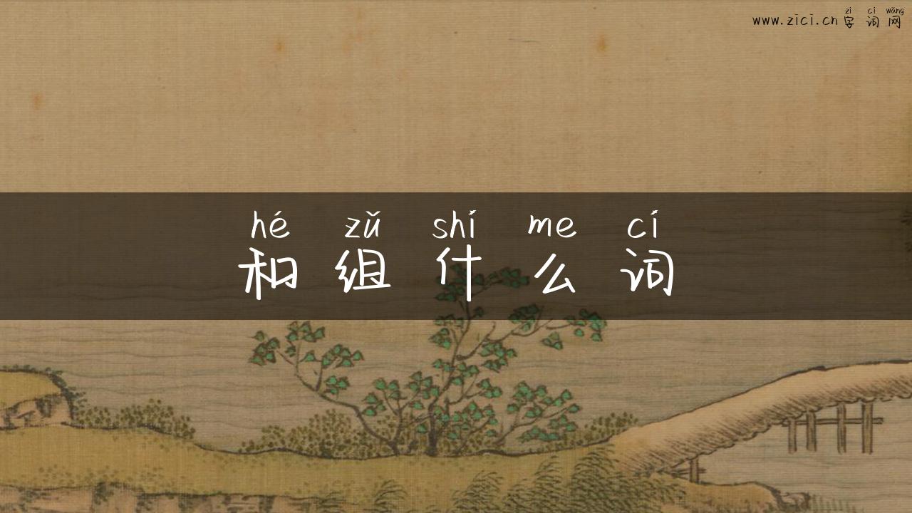 和组什么词