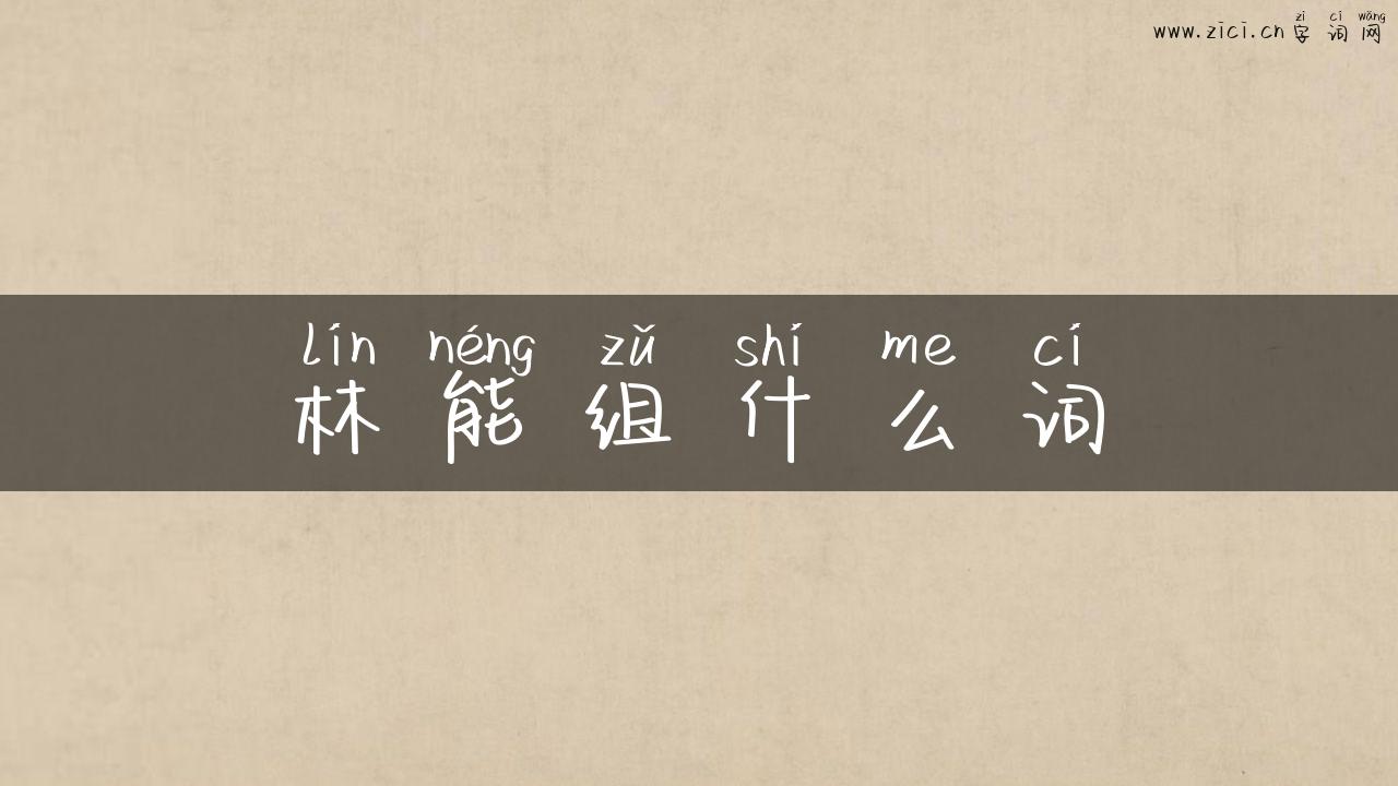 林能组什么词