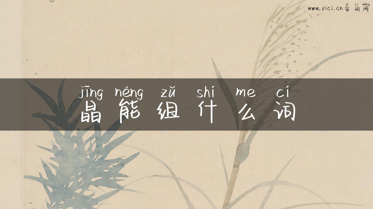 晶能组什么词