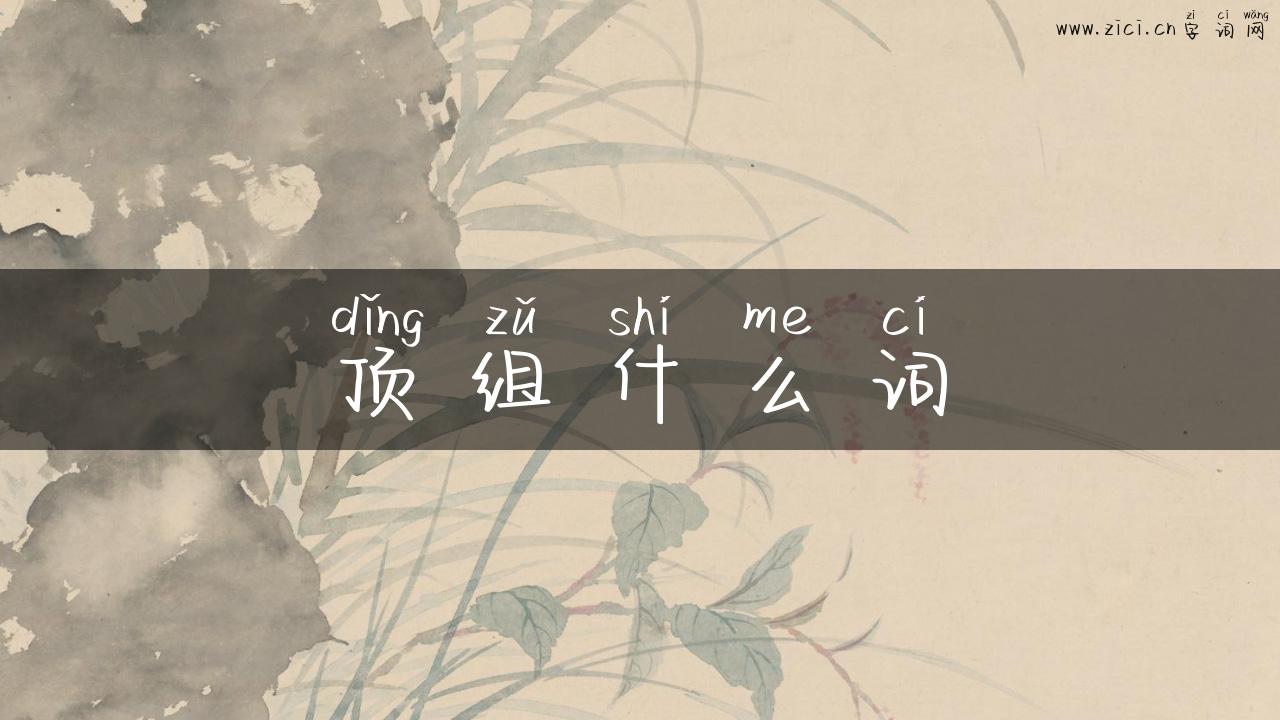 顶组什么词