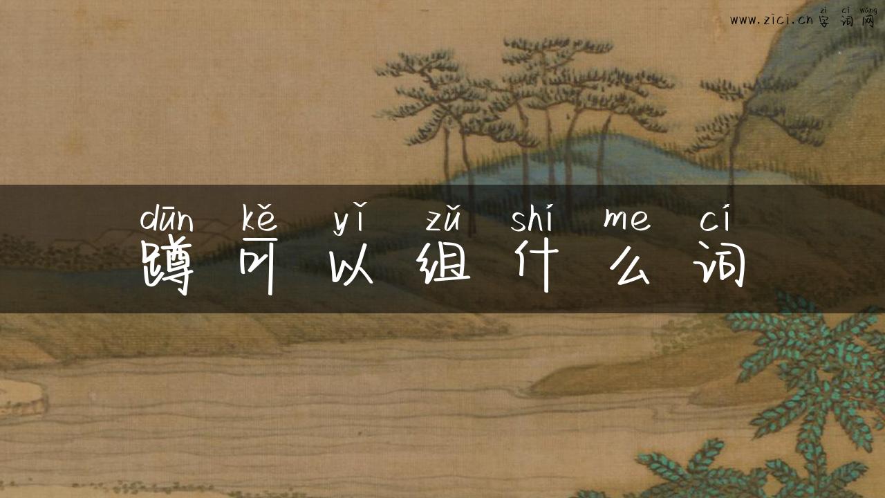 蹲可以组什么词