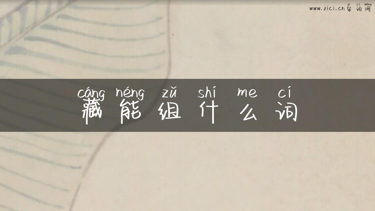 藏能组什么词