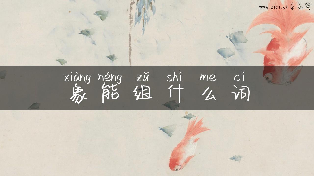 象能组什么词