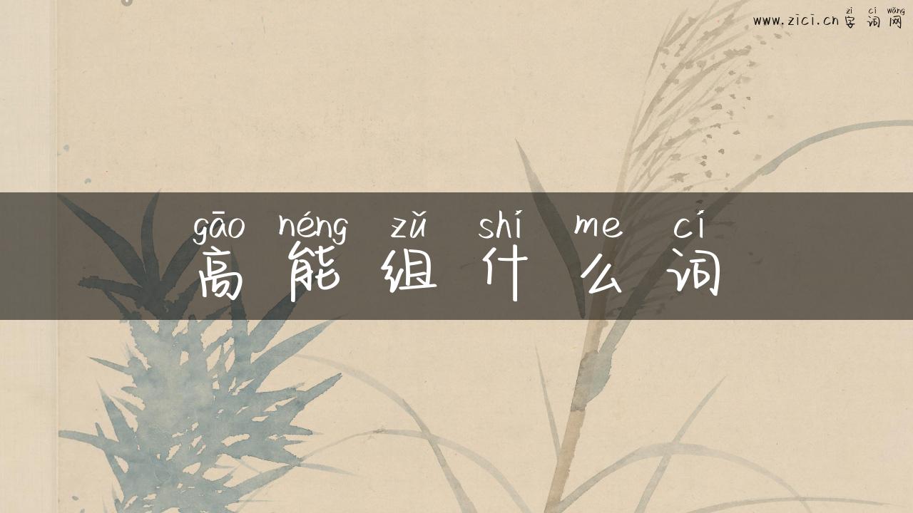 高能组什么词