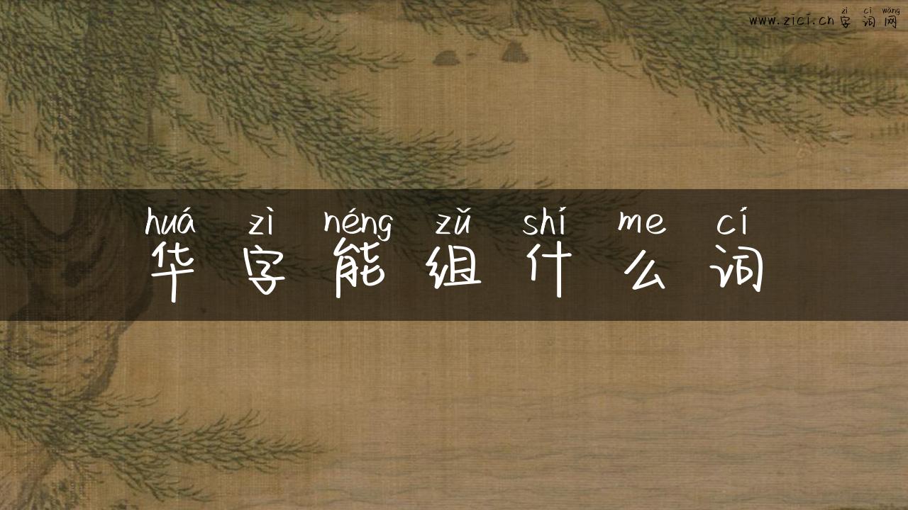 华字能组什么词