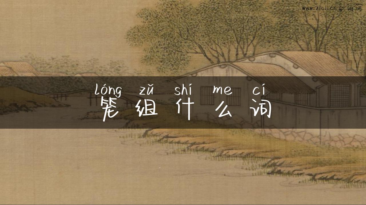 笼组什么词