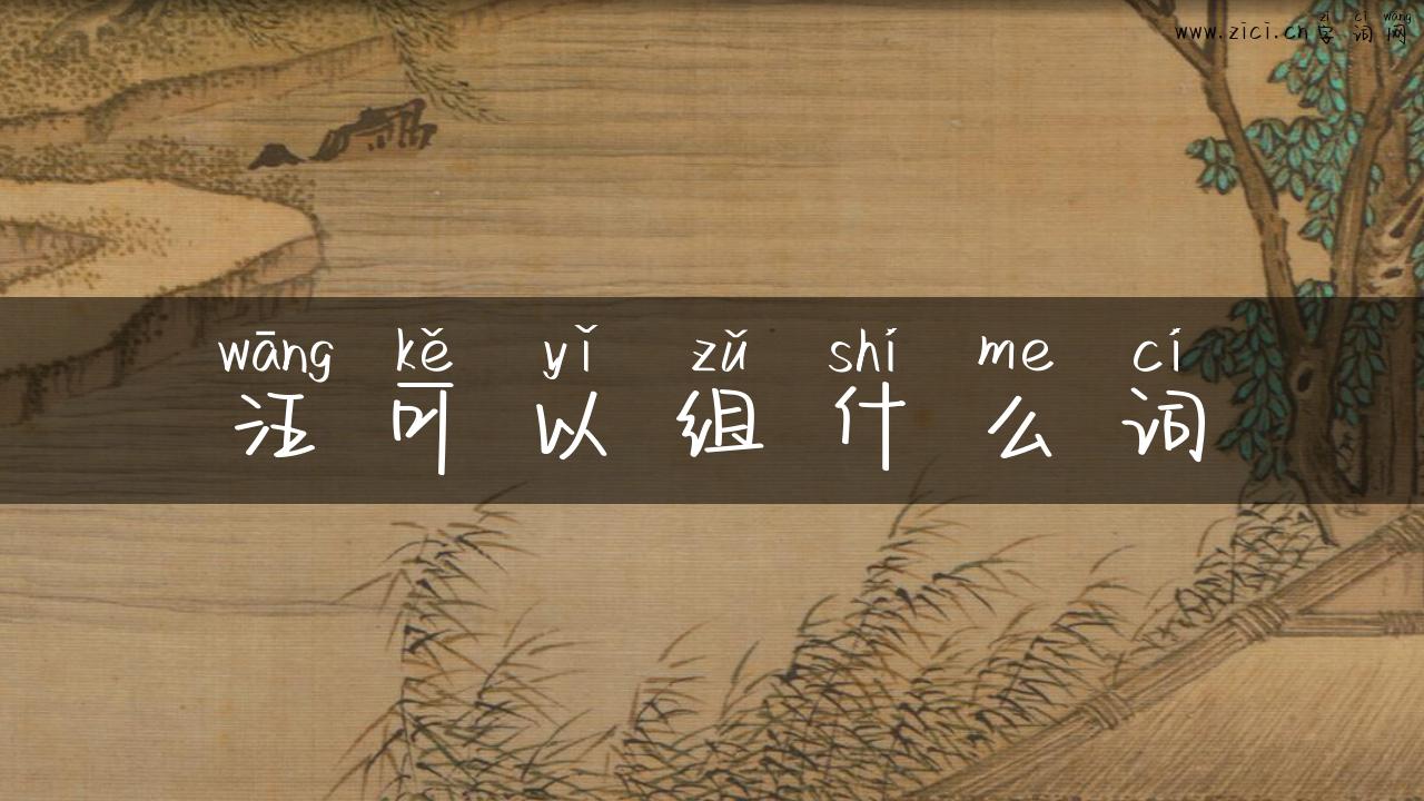 汪可以组什么词